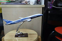 Aircraft Model