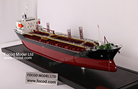 LNG Ship Model